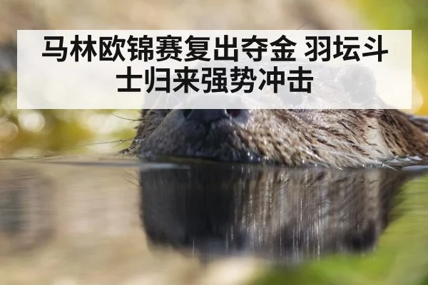 马林欧锦赛复出夺金 羽坛斗士归来强势冲击