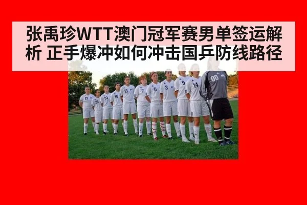 张禹珍WTT澳门冠军赛男单签运解析 正手爆冲如何冲击国乒防线路径